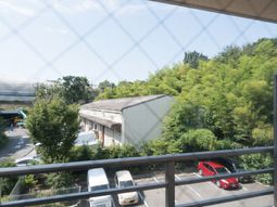 緑豊かな景色の窓