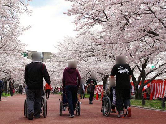 桜並木を歩く人々