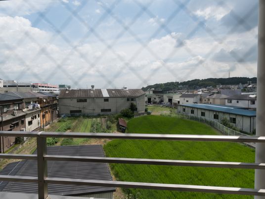緑豊かな中庭の眺め