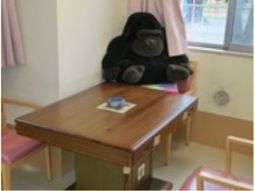 ぬいぐるみがある部屋
