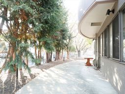 樹木と建物の外側の景観