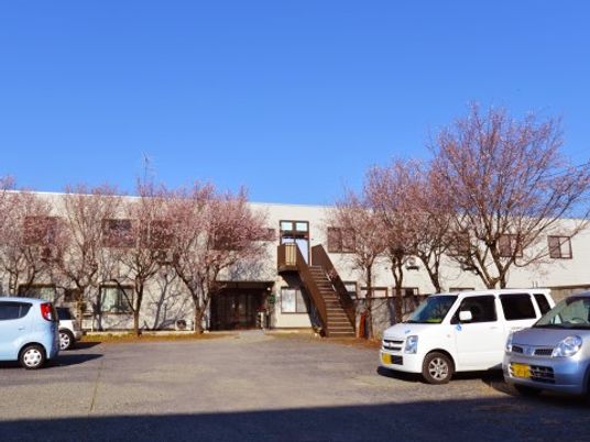 桜並木と建物の外観