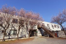 桜並木のある建物外観