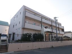 明るい外観の建物