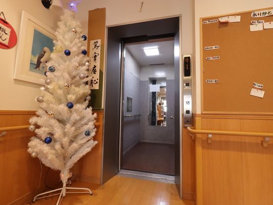 エレベーター前のクリスマスツリー