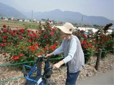 散歩中の利用者と花壇