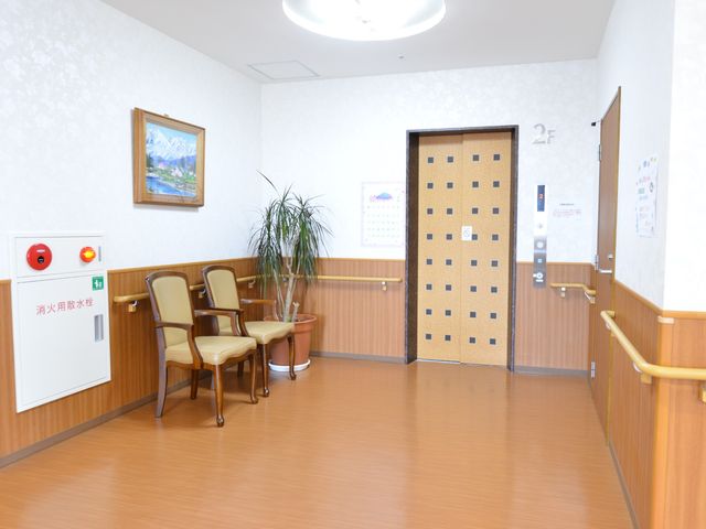 清潔感ある廊下の一角 エレベーター 木目調の壁と手すりが温かみを感じさせる廊下です。待合スペースには植物も配され、落ち着いた雰囲気をお楽しみいただけます。