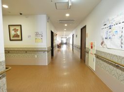 明るい廊下の様子