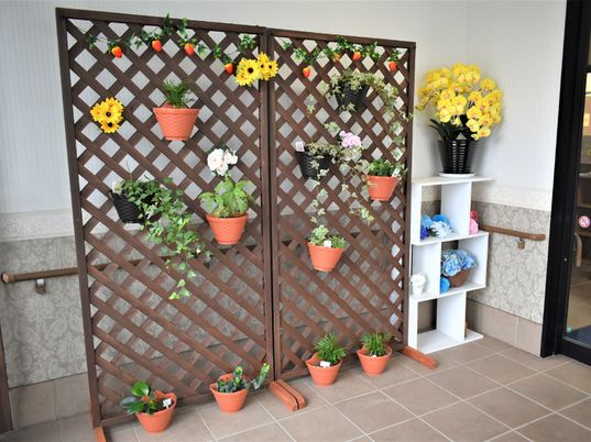 エントランスの装飾植物