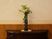 和風装飾の花瓶と家具