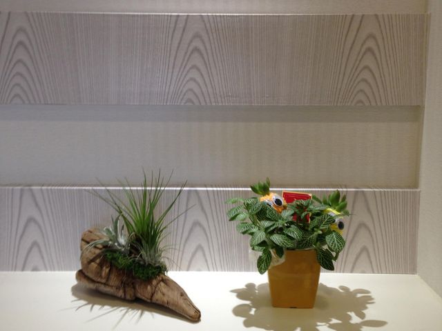 癒しの植物ディスプレイ ロビー 温もりを感じるディスプレイがお出迎え。ゆったりとした時間をお過ごしいただける空間です。