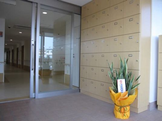 エントランスのロッカーと植物