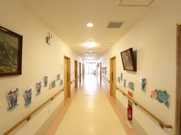 明るい廊下と壁の装飾