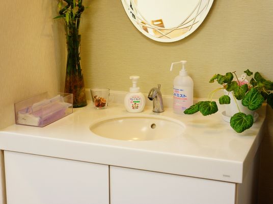 清潔な洗面台と植物