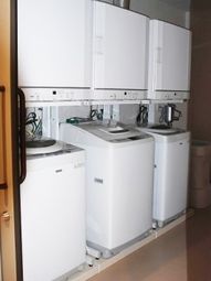 清潔な洗濯機並ぶ空間