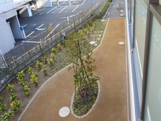 整備された新しい中庭