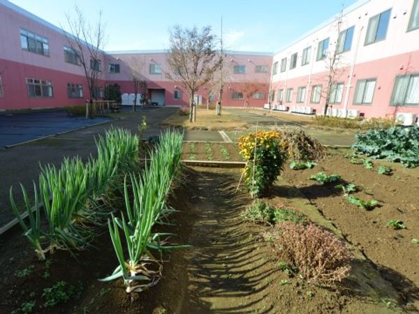 中庭の緑と建物