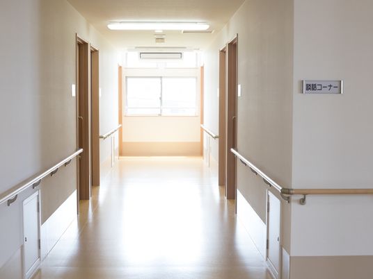 何も置かれていない廊下である。突き当たりには窓があり光が差し込んでいる。両側の壁に手すりが備わっている。