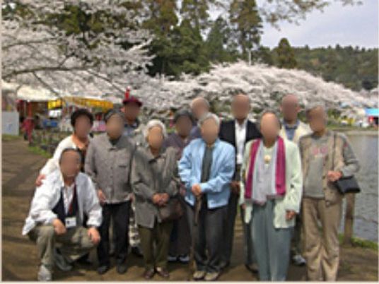 桜の下の集合