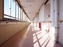 明るい日差しの廊下