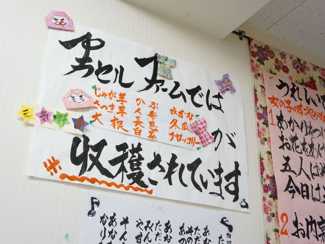 掲示物と折り紙の飾り 掲示 心温まる手作りの飾りが、共有部分の壁に飾られ、訪れる人の心を和ませています。創作活動が盛んであることが伺えます。
