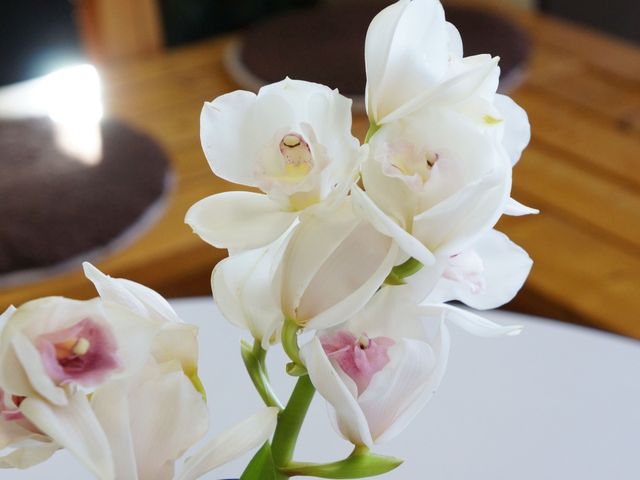 清廉な蘭の花アレンジメント 装飾 落ち着いた雰囲気のラウンジには、上品な蘭の花が設えられており、訪れる方々に心の安らぎを提供しています。