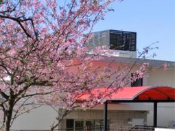 桜並木と施設の外観