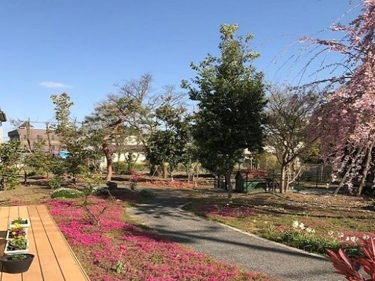 花と緑のある散策道