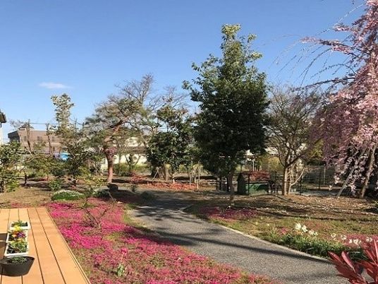 花と緑のある散策道