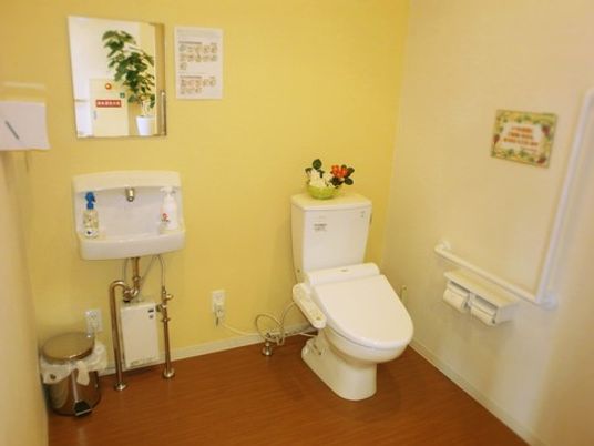 車椅子のままでも入れる広いスペースのトイレである。立ち座りのための手すりや、鏡と洗面台も付いている。