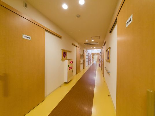 写真手前の部屋は211号室と233号室である。その他にもいくつもの居室のドアがある。廊下の床は中央が木目調である。