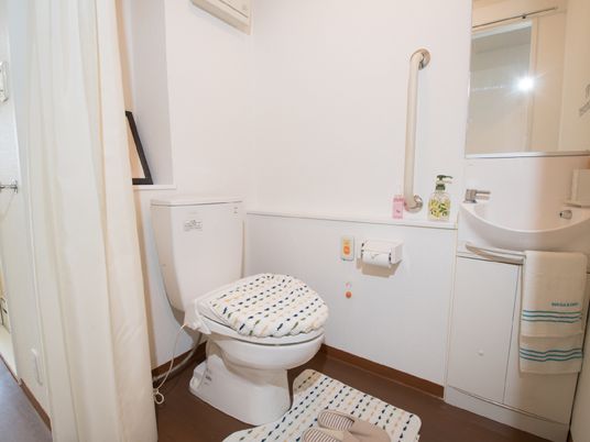 施設の写真 白で統一されたトイレ。中は広々としていて、洗面化粧台と手すりも付いている。出入り口はカーテンになっている。