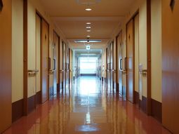 清潔な廊下の風景