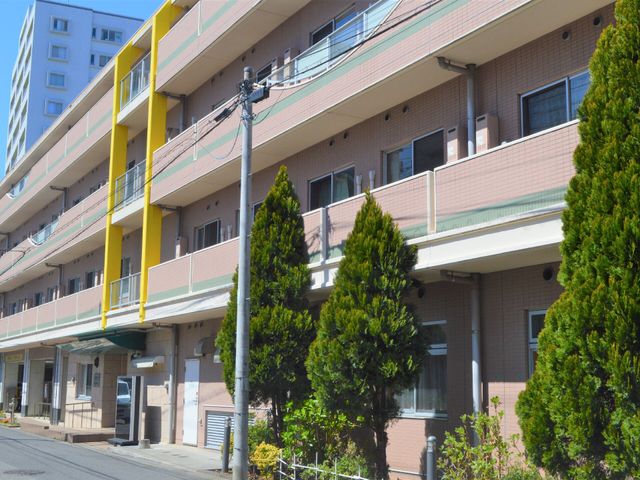 日差し照る明るい外観