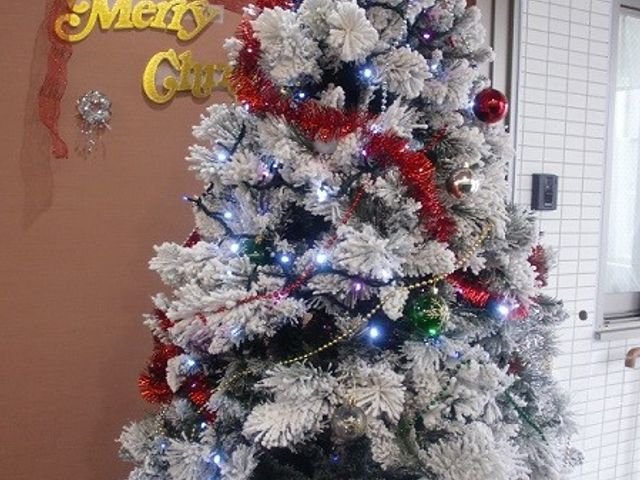 装飾されたクリスマスツリー 装飾 季節感のあふれるデコレーションが、温かい歓迎を示しています。この空間での仕事は、心を豊かにしてくれるでしょう。