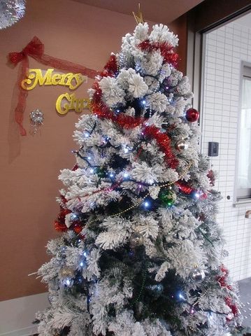 装飾されたクリスマスツリー 装飾 季節感のあふれるデコレーションが、温かい歓迎を示しています。この空間での仕事は、心を豊かにしてくれるでしょう。