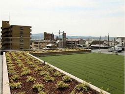 緑溢れる屋上庭園