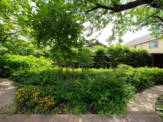 緑豊かな庭園エリア