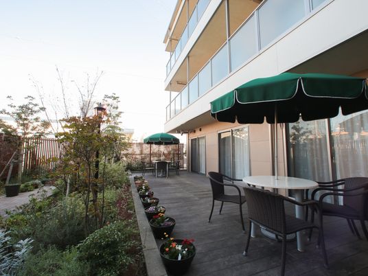 中庭の植物とテーブルセット