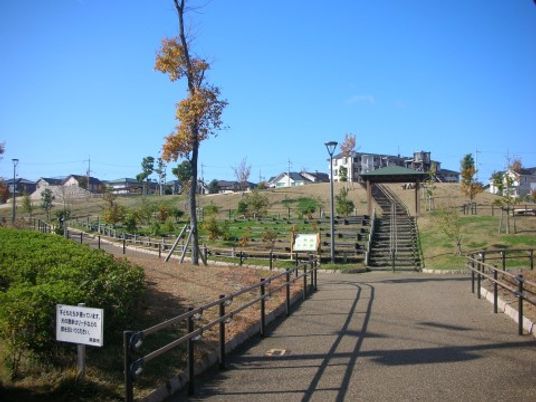 明るい空と緑の中庭