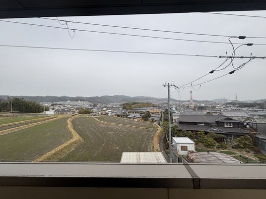 自然が望めるテラス