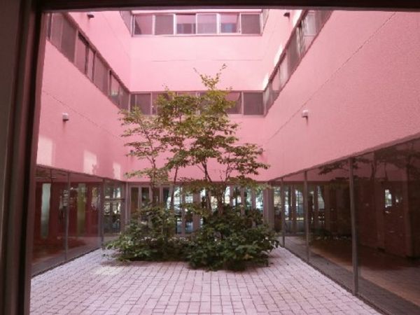 中庭の風景