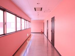 ピンクの廊下と人物