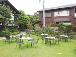 緑豊かな庭の風景