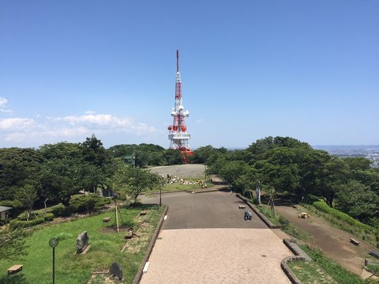 緑豊かな公園の風景