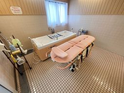 浴槽とベッドがある部屋