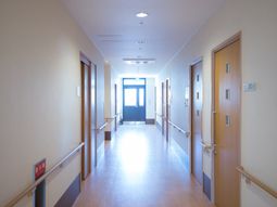 清潔な明るい廊下