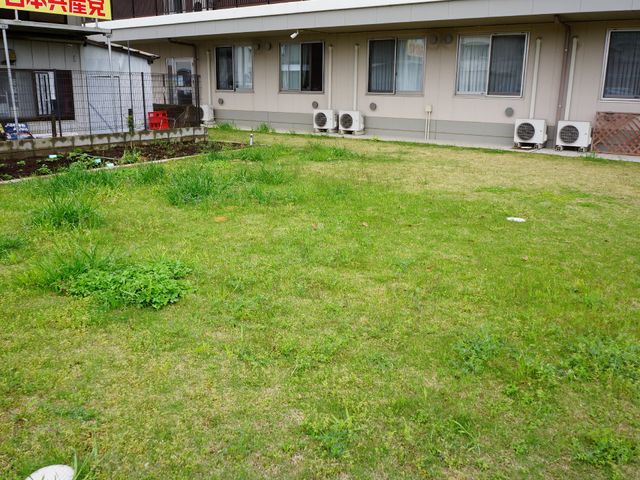 庭付きの平屋建て施設 庭 緑豊かな庭のある施設で、利用者様と一緒に園芸活動を楽しめる環境です。心地よい風が吹く外での作業は、心身のリフレッシュにもつながります。