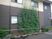 緑が映える建物の外観