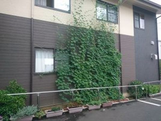 緑が映える建物の外観